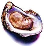article image - 